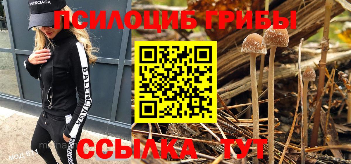 Галлюциногенные грибы ЛСД Елец