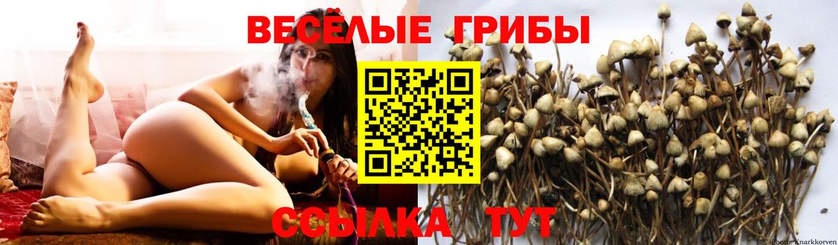 Псилоцибиновые грибы мухоморы  Вход с VPN  Елец 