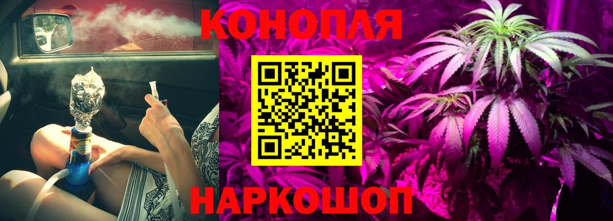 Канабис планчик Елец